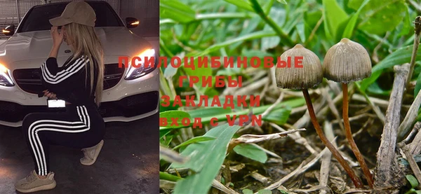 мяу мяу мука Нефтекумск