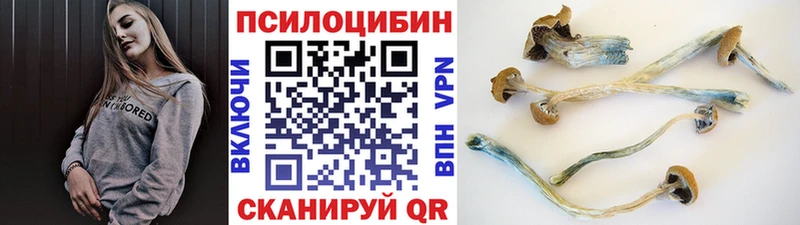 мориарти состав  наркота  Полысаево  Галлюциногенные грибы ЛСД 